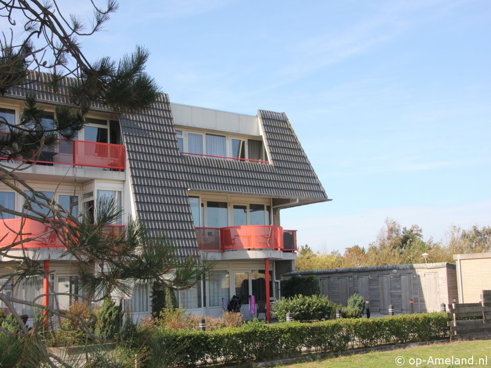 Alpaca (Amelander Paradijs 29), Ferienhaus auf Ameland für 4 Personen