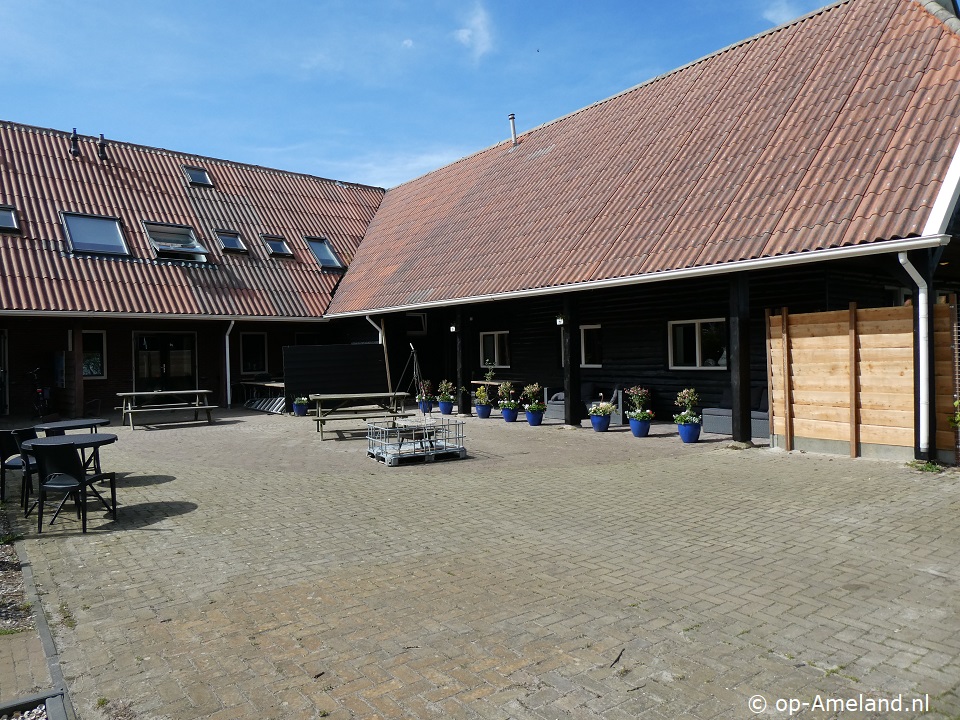 Boerezwaluw 1, Buren auf Ameland