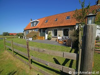 Butenuut, Nes auf Ameland