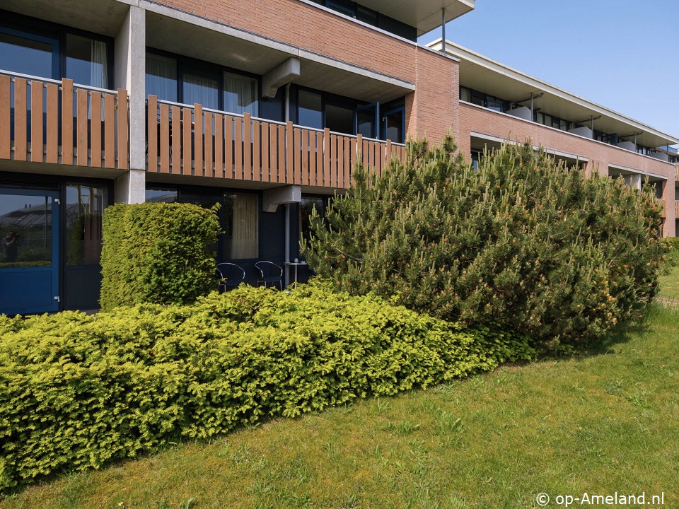 De Vleyen, Appartement auf Ameland