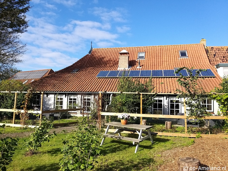 Koalehuus, Ferienhaus auf Ameland für 4 Personen