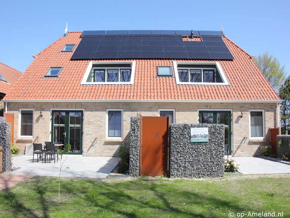 De Miede Buren, Buren auf Ameland