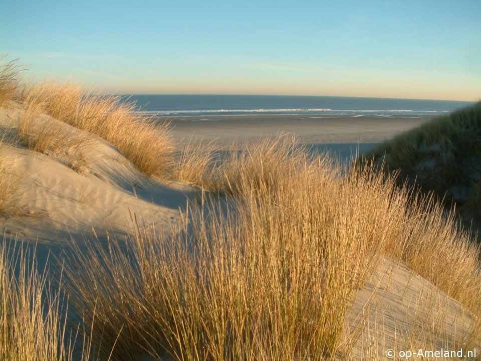 Het Strandleven