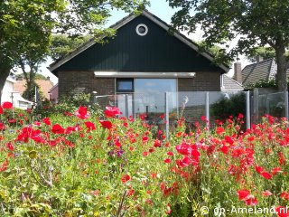 Alfit, Ferienhaus auf Ameland für 4 Personen