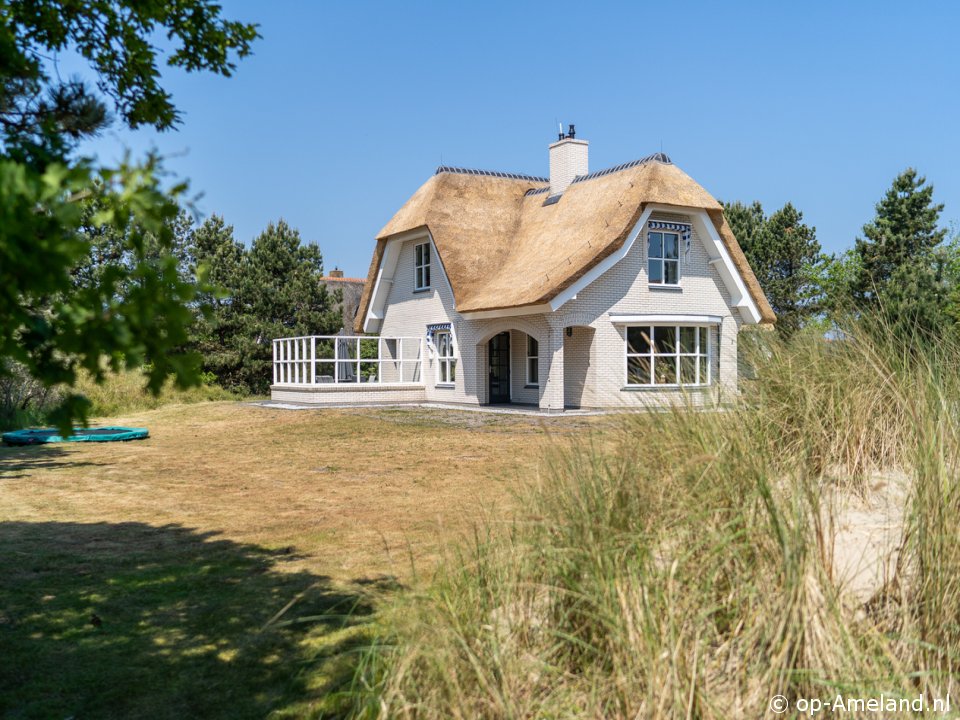 De Duinen (Buren), Ferienhäuser auf Ameland