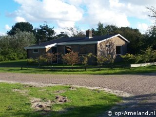 Distelvink, Ferienhaus auf Ameland für 6 Personen