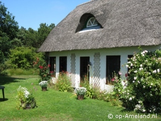 Elzenhof, Ferienhäuser auf Ameland