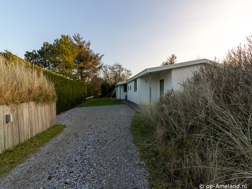 Fazant, Ferienhaus auf Ameland für 6 Personen