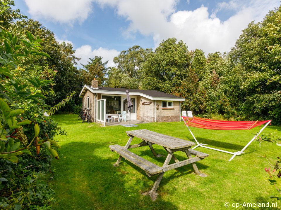 Grimbeltje, Ferienhaus auf Ameland für 4 Personen