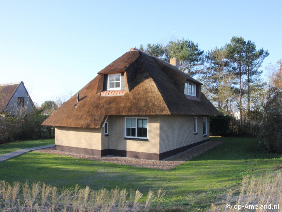 Kattedoorn, Ballum auf Ameland