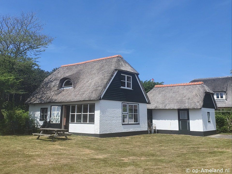 Kooykamp, Ferienhaus auf Ameland für 6 Personen