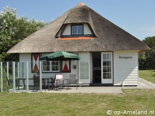 Rietgors, Ferienhäuser mit Sauna auf Ameland