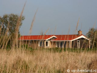 Buitenaanzicht Skutehon