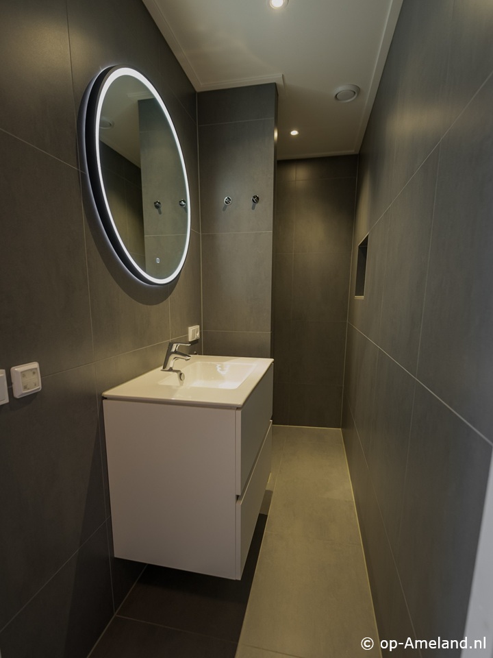 De Vrije Wil 4 - `t Koeies