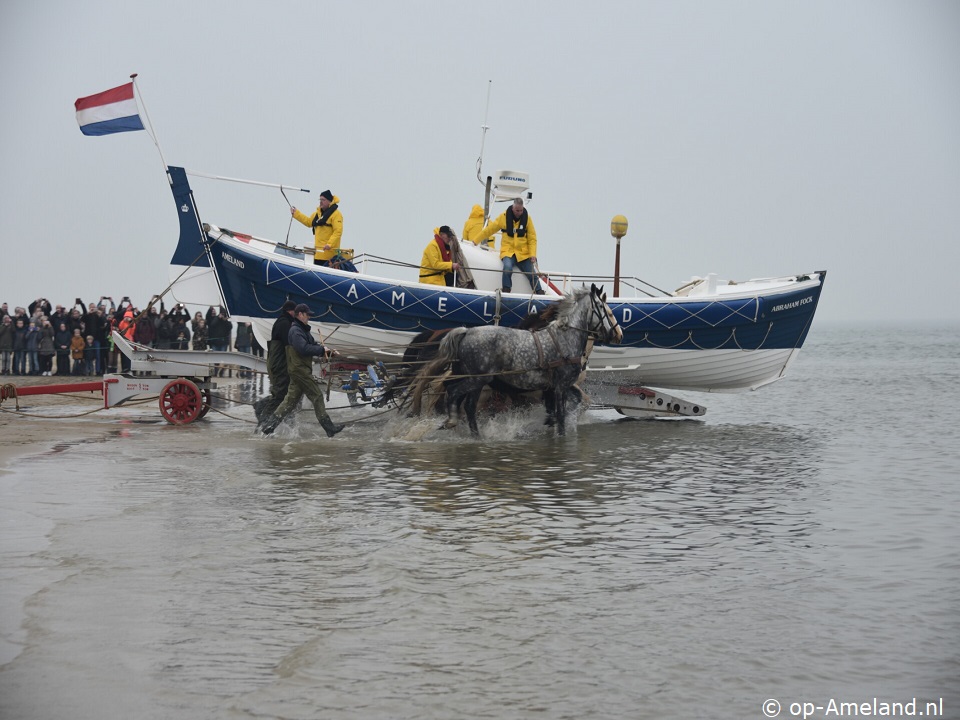 Zeester (Klein Vaarwater)