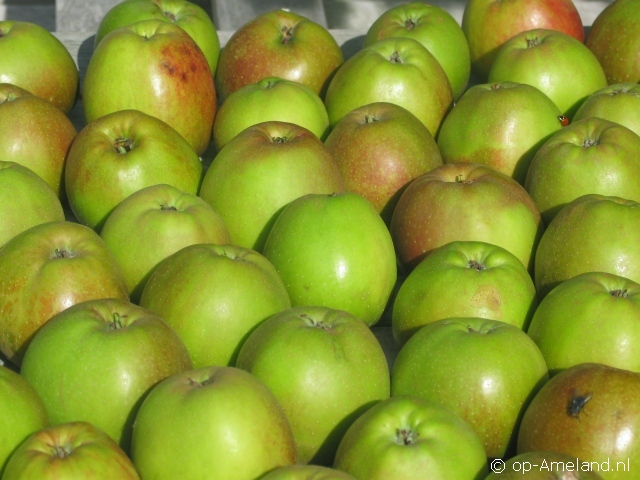 `t Appelhofje