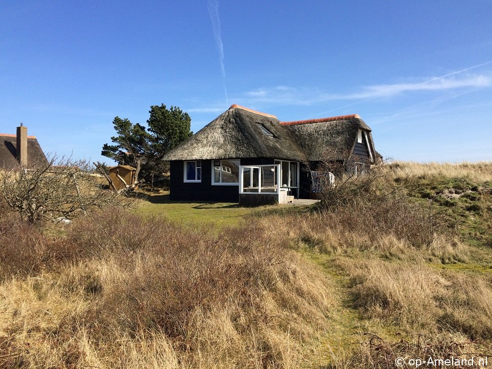 Aurora, Nes auf Ameland