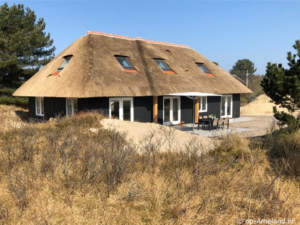 In de Duinpan, Ferienhäuser in den Dünen zwischen Nes und Buren