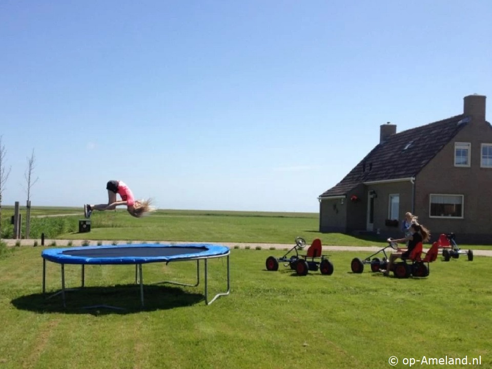 Monique (8 persoons), Ferienhäuser mit Sauna auf Ameland