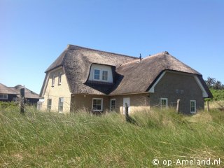 Tieuwen, Ferienhäuser mit Sauna auf Ameland