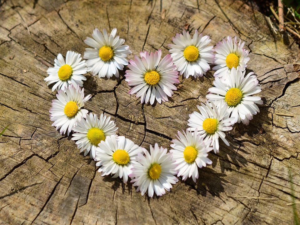 Valentinstagswochenende auf Ameland